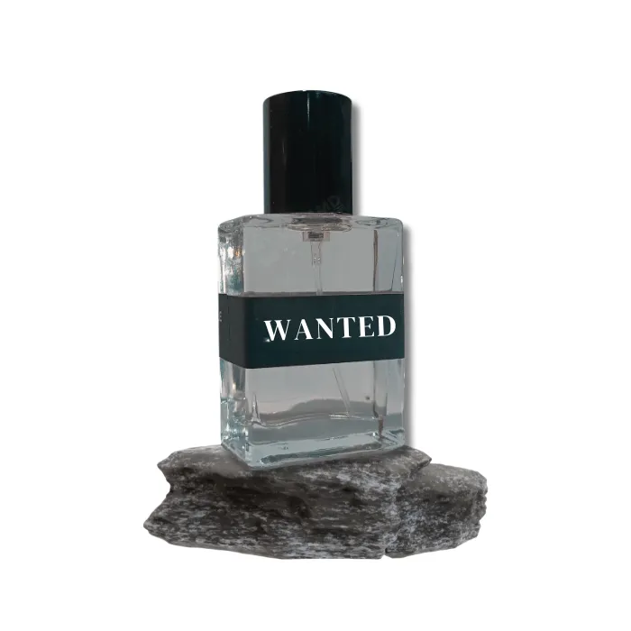 Wanted Odoreable Scents 30ml Perfume - OW30